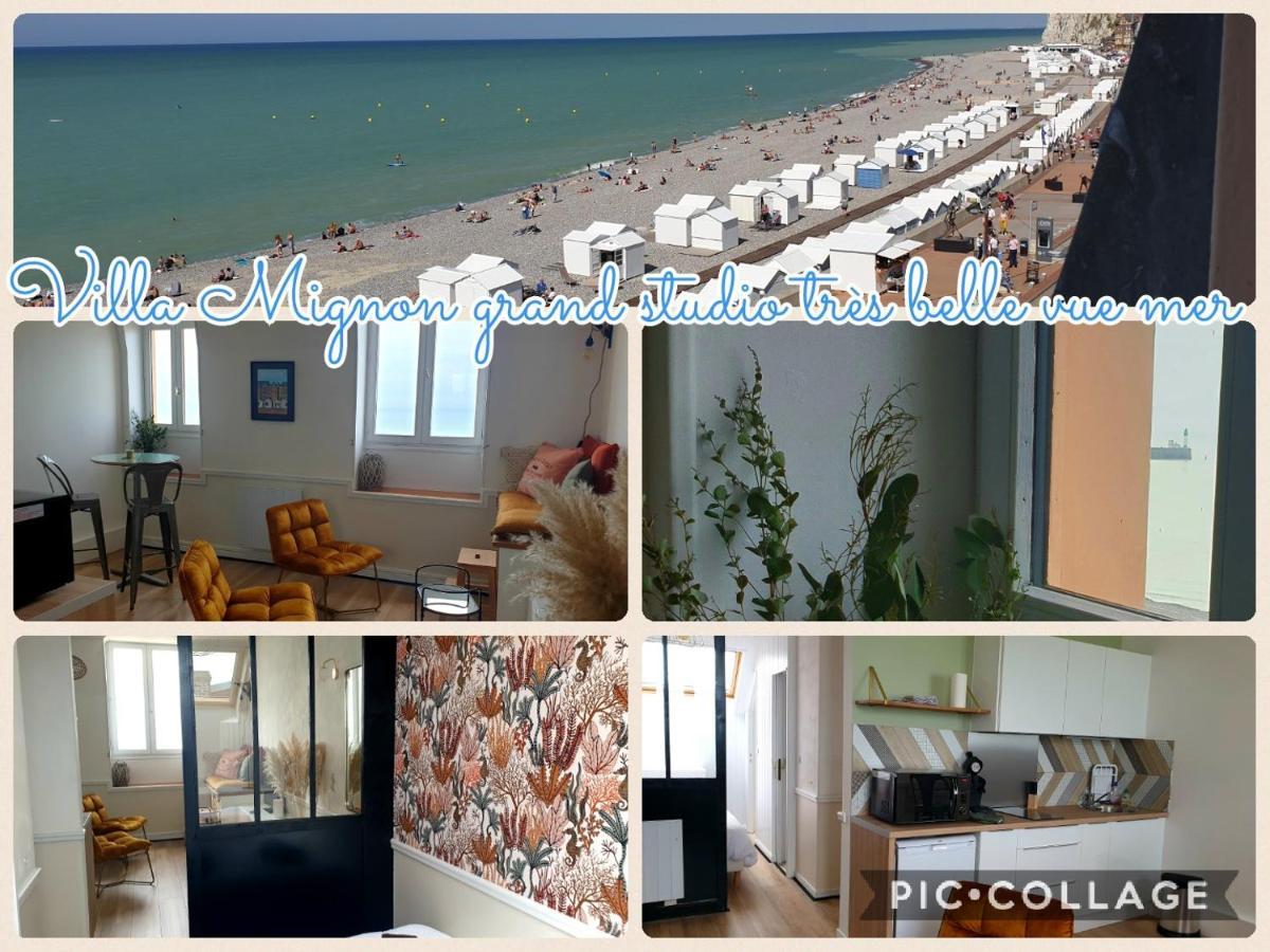 Mignon Grand Vue Apartment *